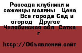 Рассада клубники и саженцы малины › Цена ­ 10 - Все города Сад и огород » Другое   . Челябинская обл.,Сатка г.